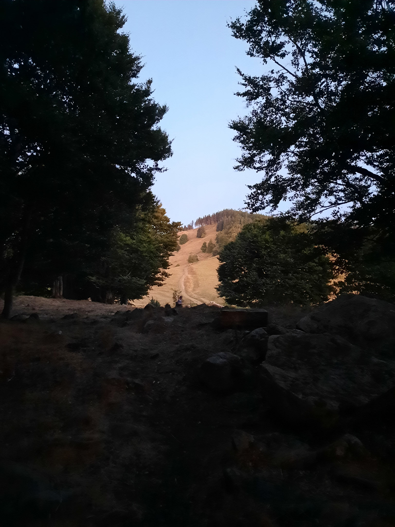 20220813210835 20220813 210835